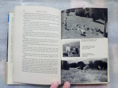 Rabbits Galore - On the Other side of the Fence by W.H. McLean