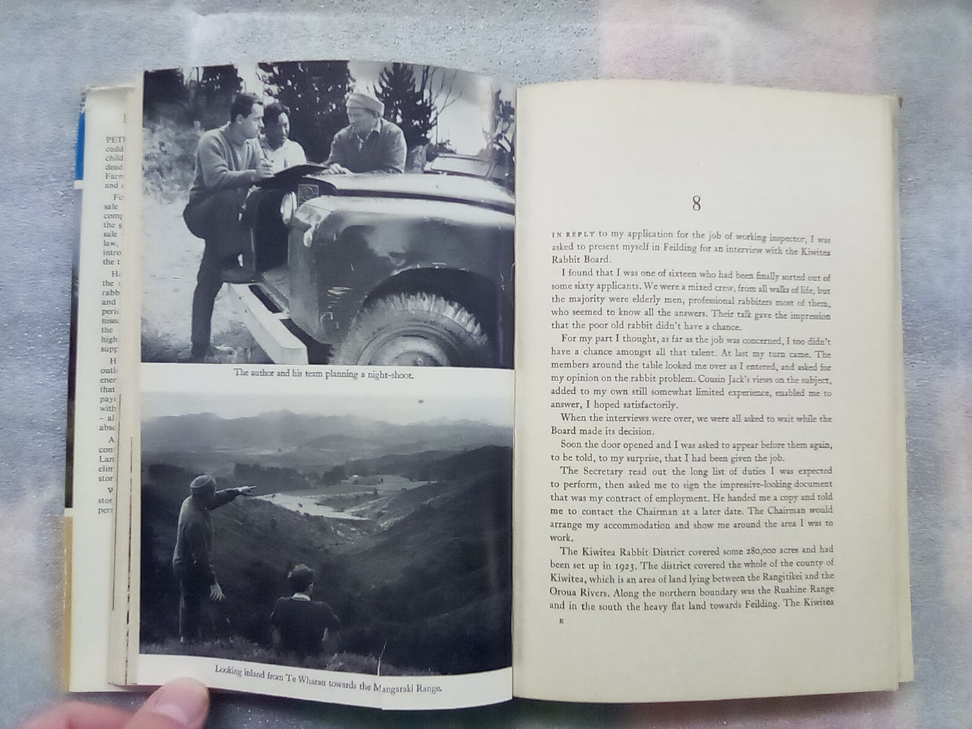Rabbits Galore - On the Other side of the Fence by W.H. McLean