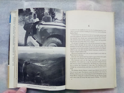 Rabbits Galore - On the Other side of the Fence by W.H. McLean