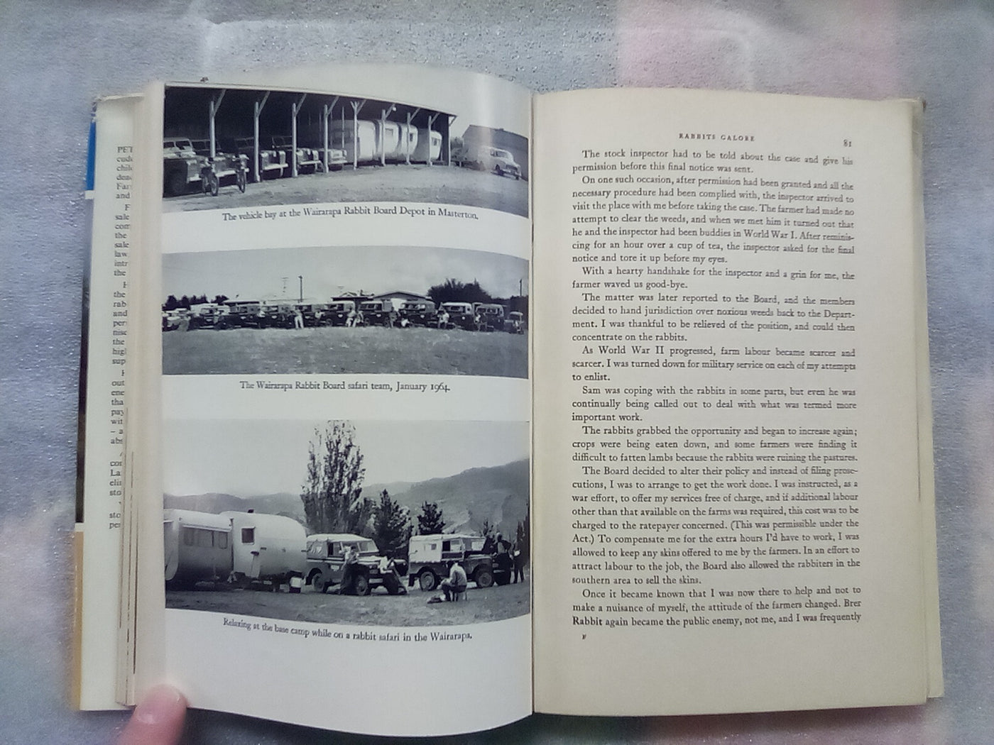 Rabbits Galore - On the Other side of the Fence by W.H. McLean