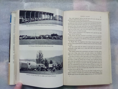 Rabbits Galore - On the Other side of the Fence by W.H. McLean