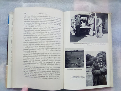Rabbits Galore - On the Other side of the Fence by W.H. McLean