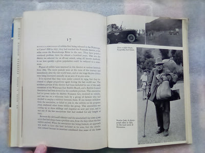 Rabbits Galore - On the Other side of the Fence by W.H. McLean