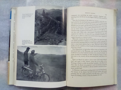 Rabbits Galore - On the Other side of the Fence by W.H. McLean