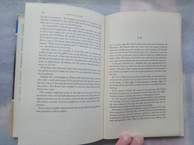 Rabbits Galore - On the Other side of the Fence by W.H. McLean