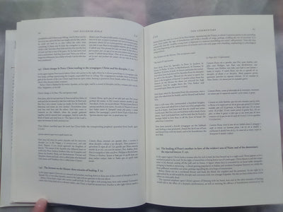 The Holkham Bible - A Facsimile by the British Library