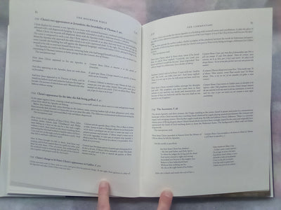 The Holkham Bible - A Facsimile by the British Library