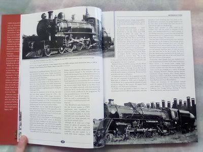 The NZR Steam Locomotive by Sean Millar
