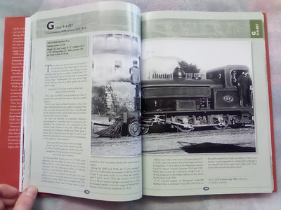 The NZR Steam Locomotive by Sean Millar