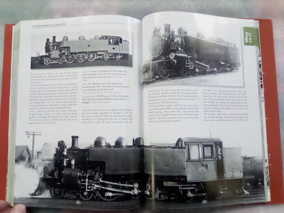 The NZR Steam Locomotive by Sean Millar