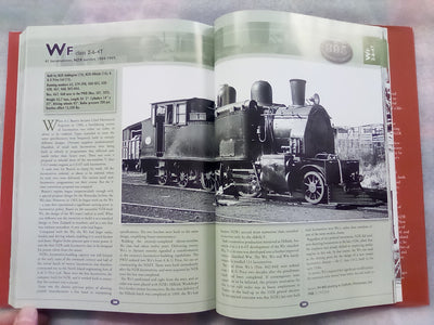 The NZR Steam Locomotive by Sean Millar