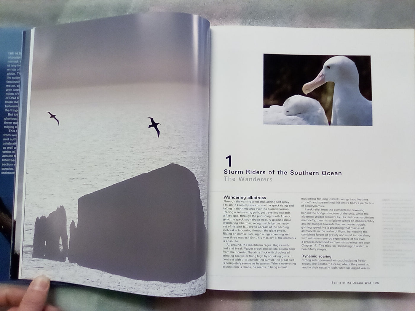 Albatross - Their World, Their Ways by Tui De Roy, Mark Jones, & Julian Fitter