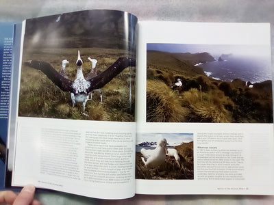 Albatross - Their World, Their Ways by Tui De Roy, Mark Jones, & Julian Fitter