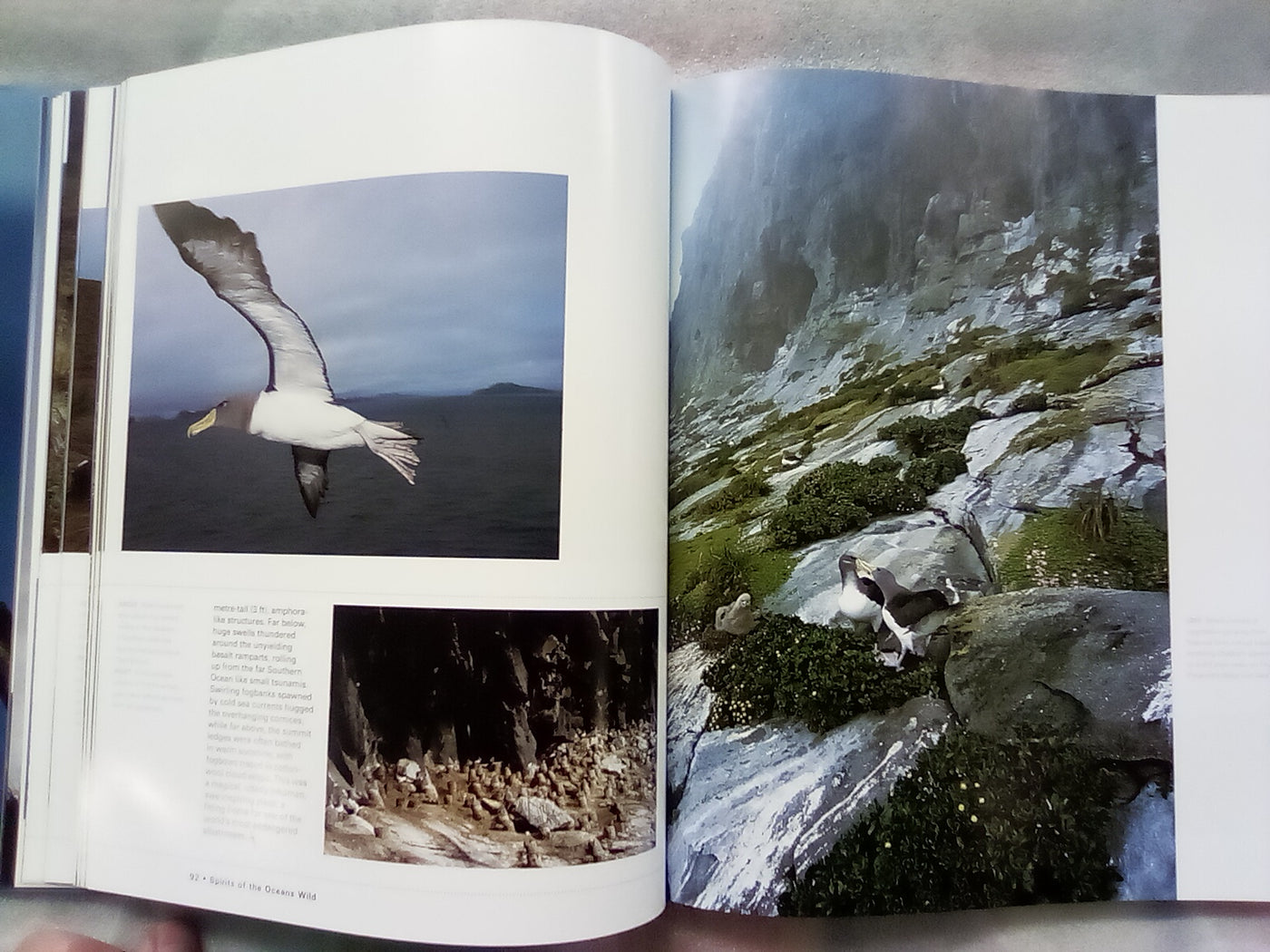 Albatross - Their World, Their Ways by Tui De Roy, Mark Jones, & Julian Fitter