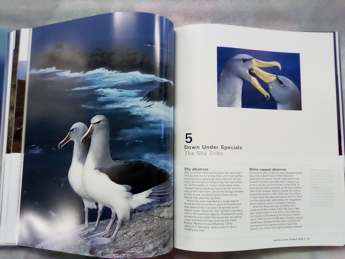 Albatross - Their World, Their Ways by Tui De Roy, Mark Jones, & Julian Fitter