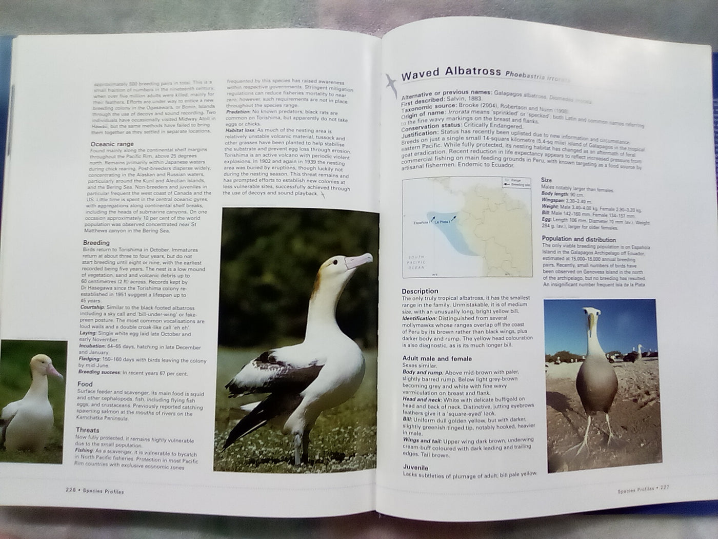 Albatross - Their World, Their Ways by Tui De Roy, Mark Jones, & Julian Fitter