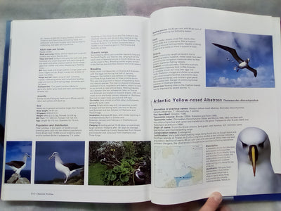 Albatross - Their World, Their Ways by Tui De Roy, Mark Jones, & Julian Fitter