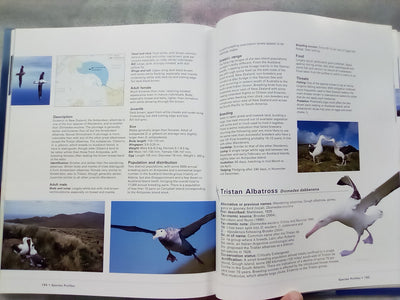 Albatross - Their World, Their Ways by Tui De Roy, Mark Jones, & Julian Fitter