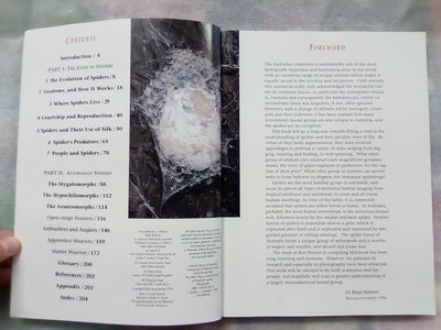 The Silken Web - A Natural History of Australian Spiders by Bert Brunet