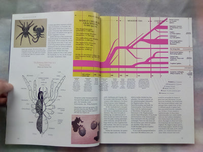 The Silken Web - A Natural History of Australian Spiders by Bert Brunet