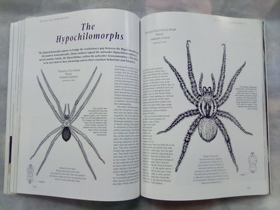 The Silken Web - A Natural History of Australian Spiders by Bert Brunet