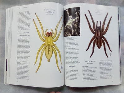 The Silken Web - A Natural History of Australian Spiders by Bert Brunet