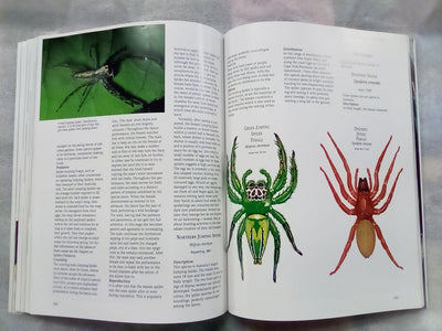 The Silken Web - A Natural History of Australian Spiders by Bert Brunet