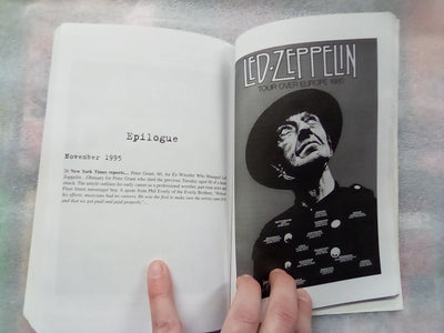 Led Zeppelin - The Press Reports by Robert Godwin