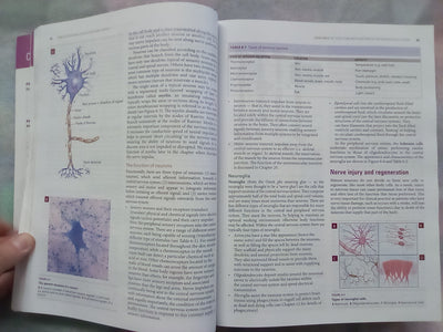 Understanding Pathophysiology 2 (2015 Edition) by Judy Craft & Christopher Gordon