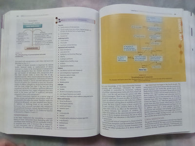 Understanding Pathophysiology 2 (2015 Edition) by Judy Craft & Christopher Gordon