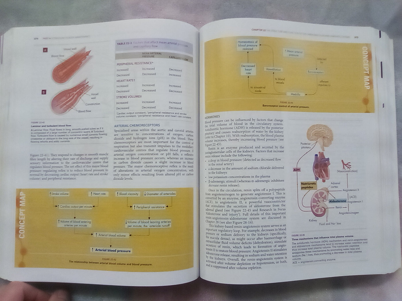 Understanding Pathophysiology 2 (2015 Edition) by Judy Craft & Christopher Gordon