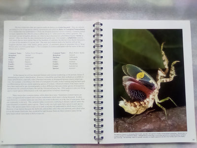 Photographic Atlas of Entomology & Guide to Insect Identification