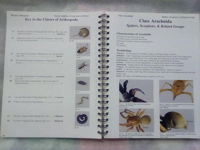 Photographic Atlas of Entomology & Guide to Insect Identification