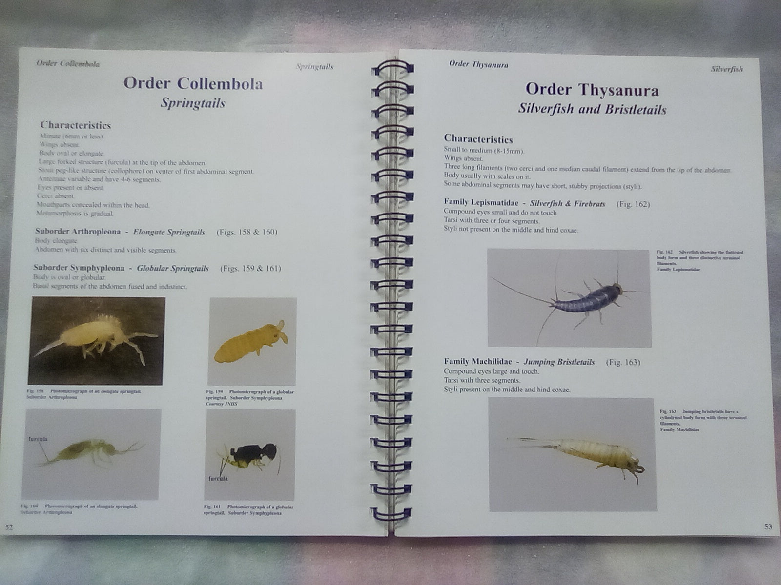 Photographic Atlas of Entomology & Guide to Insect Identification ...