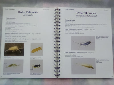 Photographic Atlas of Entomology & Guide to Insect Identification