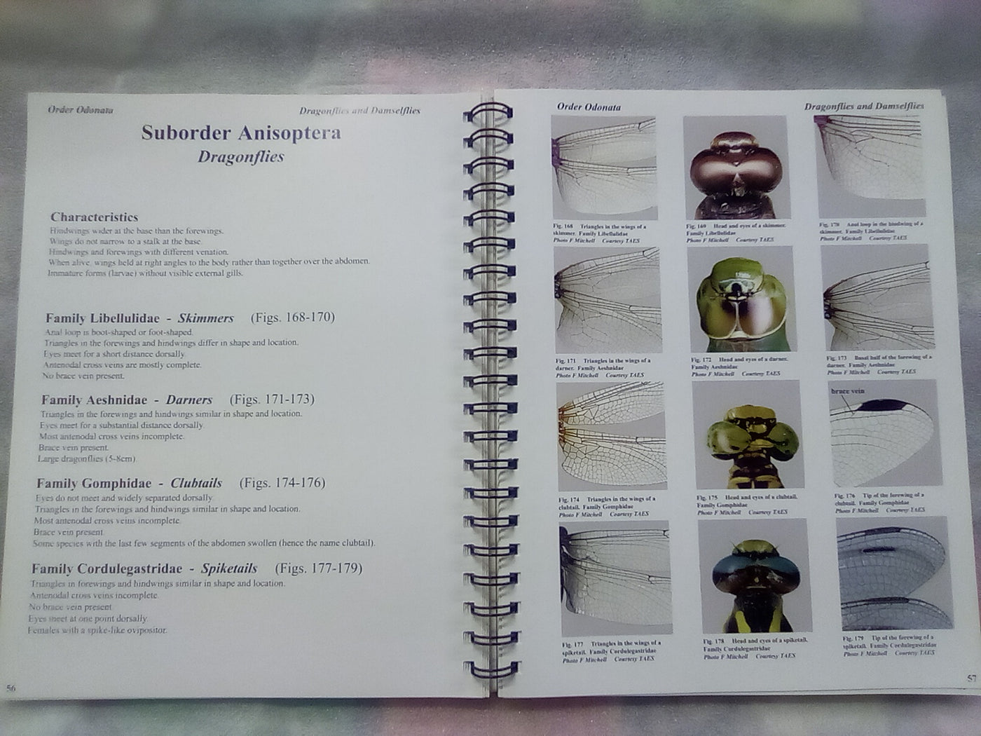 Photographic Atlas of Entomology & Guide to Insect Identification
