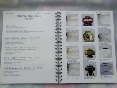 Photographic Atlas of Entomology & Guide to Insect Identification