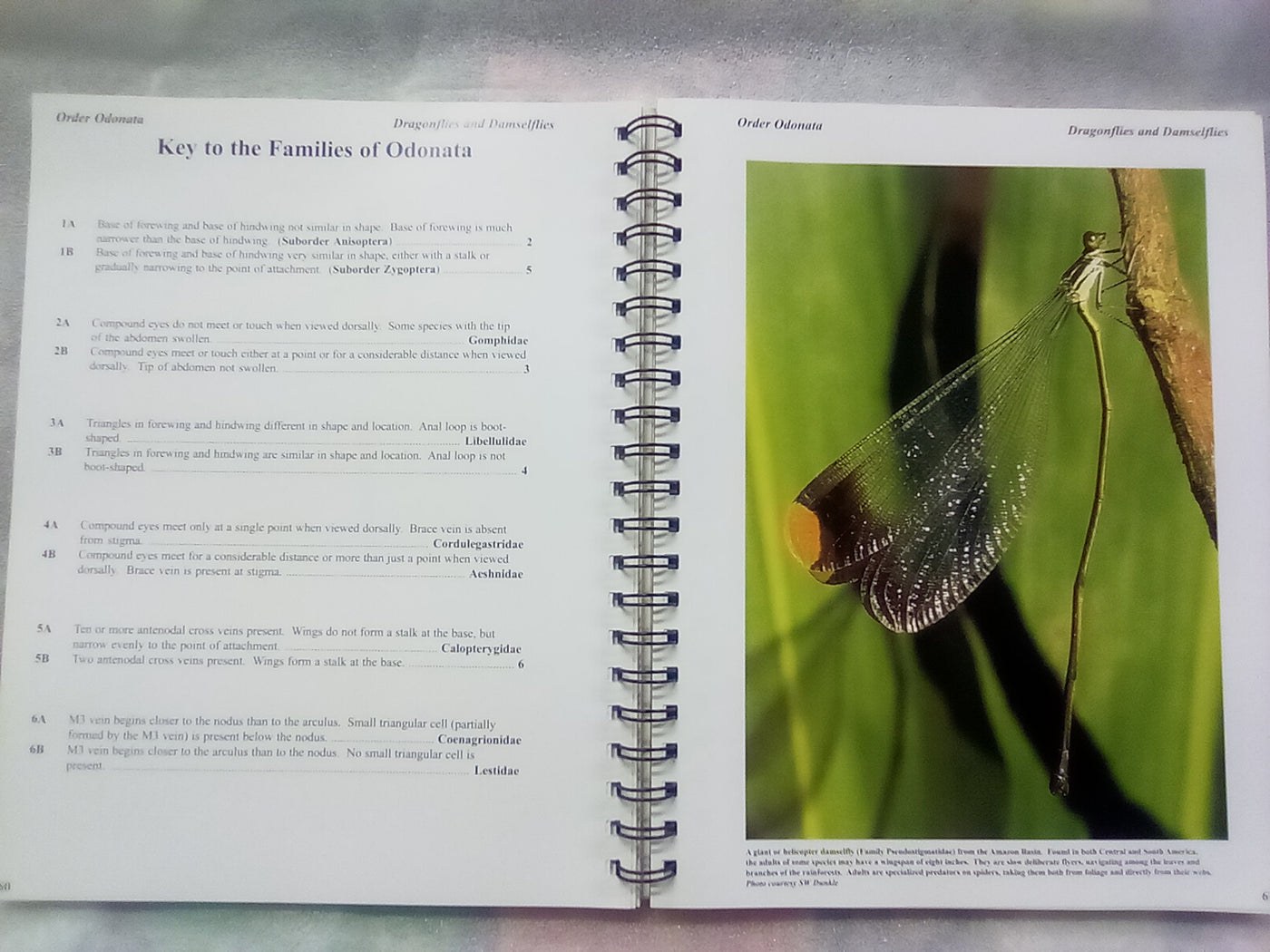 Photographic Atlas of Entomology & Guide to Insect Identification