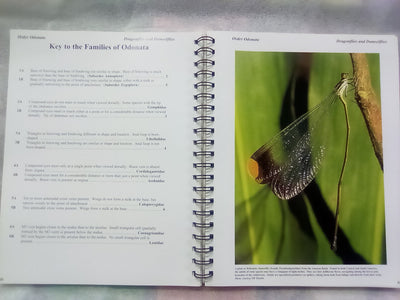 Photographic Atlas of Entomology & Guide to Insect Identification
