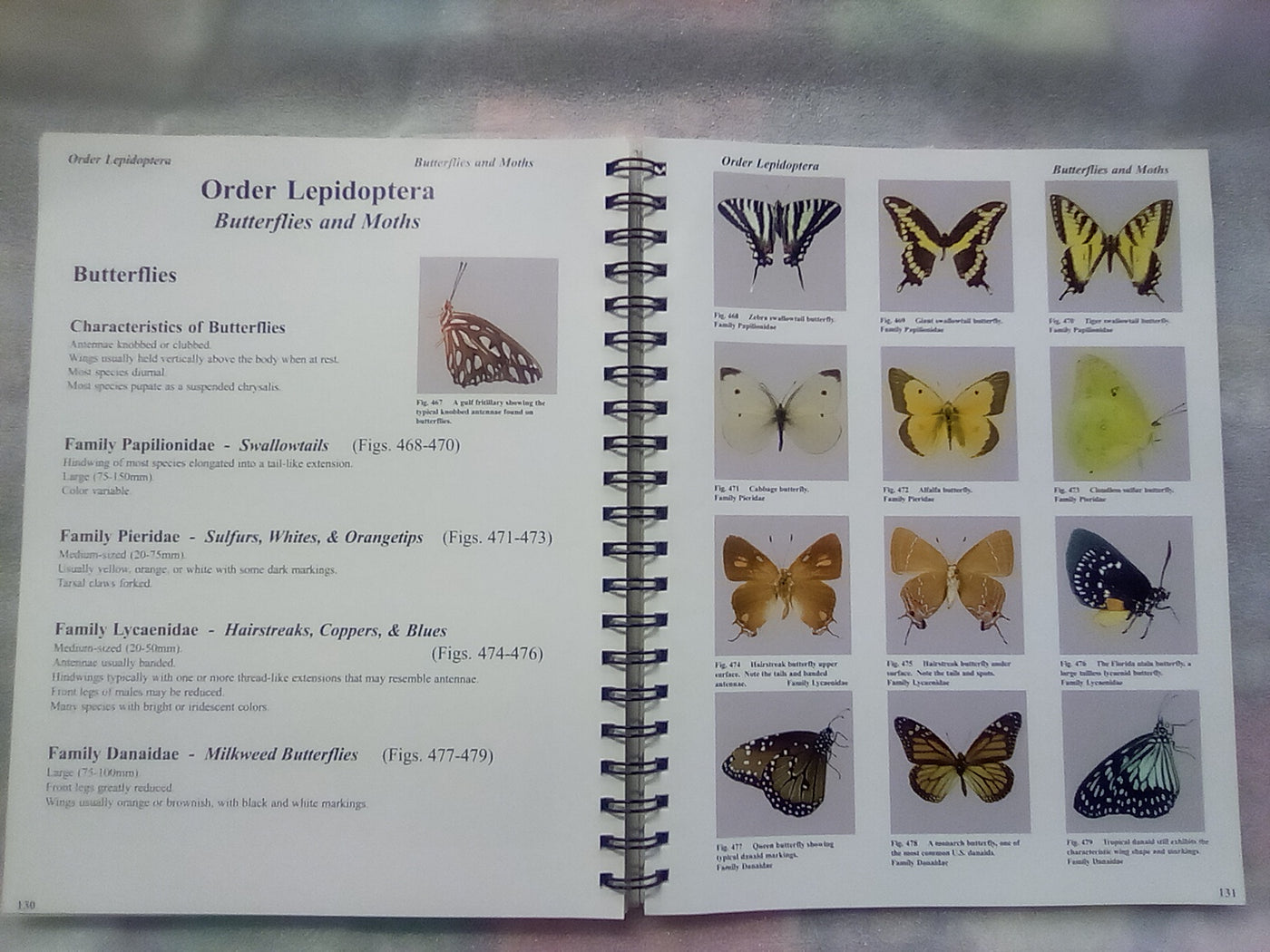 Photographic Atlas of Entomology & Guide to Insect Identification