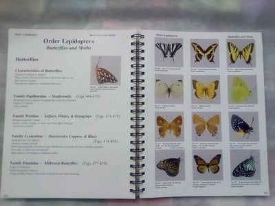 Photographic Atlas of Entomology & Guide to Insect Identification