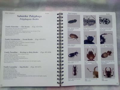Photographic Atlas of Entomology & Guide to Insect Identification