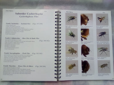 Photographic Atlas of Entomology & Guide to Insect Identification