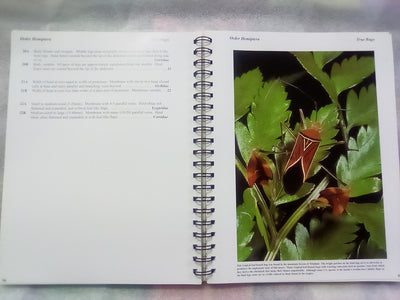Photographic Atlas of Entomology & Guide to Insect Identification