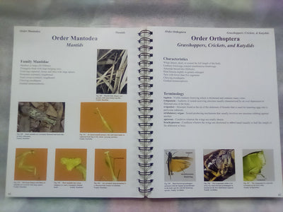 Photographic Atlas of Entomology & Guide to Insect Identification