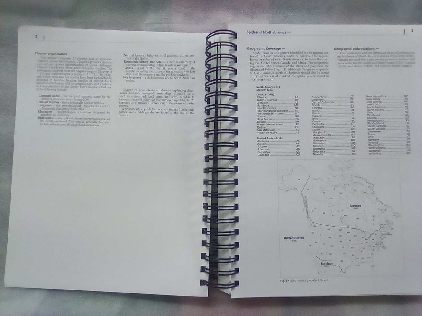 Spiders of North America - an Identification Manual