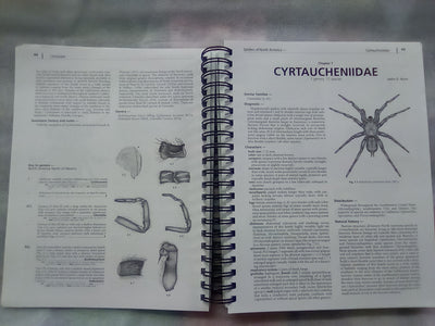 Spiders of North America - an Identification Manual