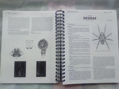 Spiders of North America - an Identification Manual