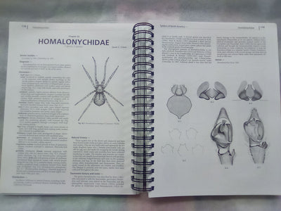 Spiders of North America - an Identification Manual