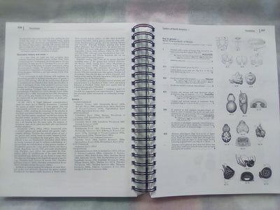 Spiders of North America - an Identification Manual